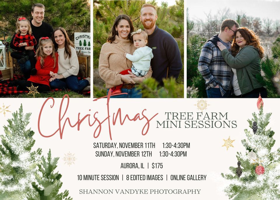 Christmas Tree Farm Mini Sessions Abbey Farms in Aurora, IL, Abbey