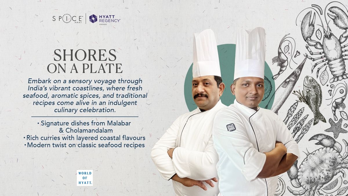 Shores on a Plate
