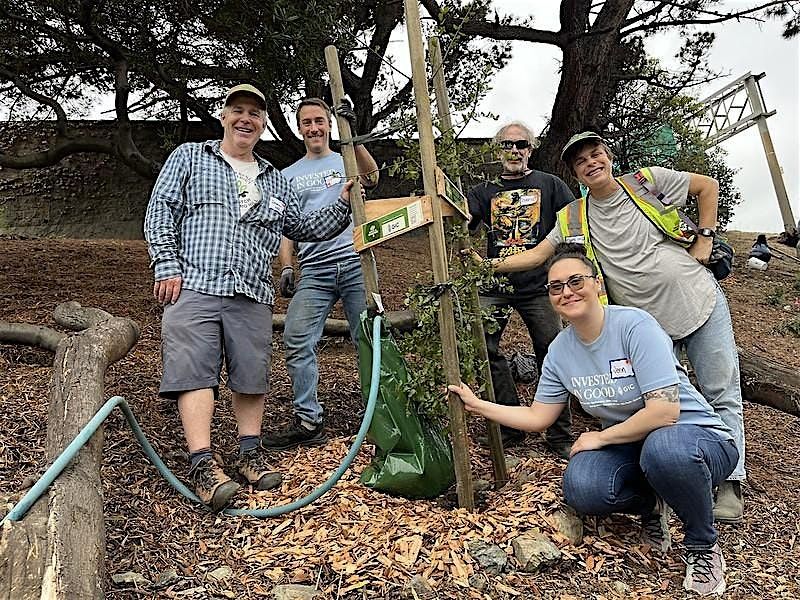 December Vermont Greenway & Eco-Patch Workday, 20 December | Event in San Francisco | AllEvents