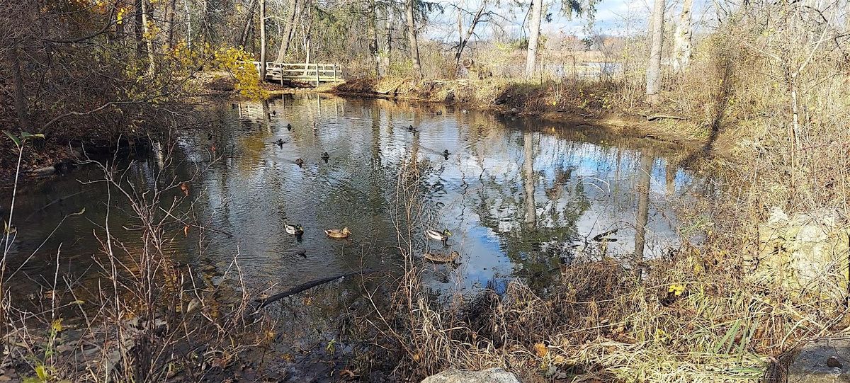 Catherine Chevalier Woods walk, 12 December | Event in Chicago | AllEvents