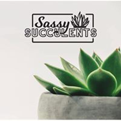 Areina’s Sassy Succulents