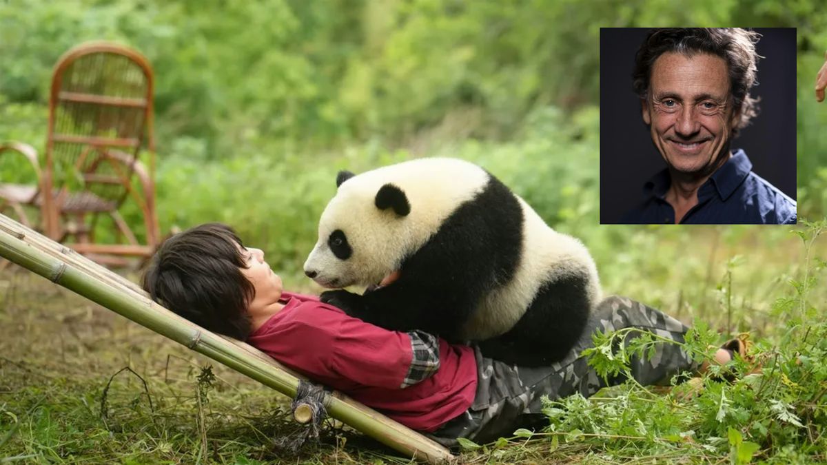 Moon the Panda — Screening & Discussion with Gilles de Maistre, 22 November | Event in Kec. Menteng