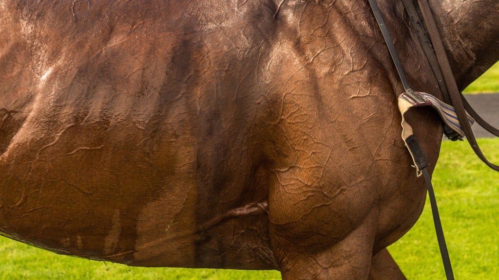 Hilary Watson Memorial Cutting Horse Show, 20 September | Event in Kansas City | AllEvents