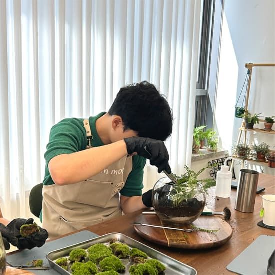 아이엠모스 : 나만의 작은정원, 테라리움 클래스 | Event in Bucheon City | AllEvents