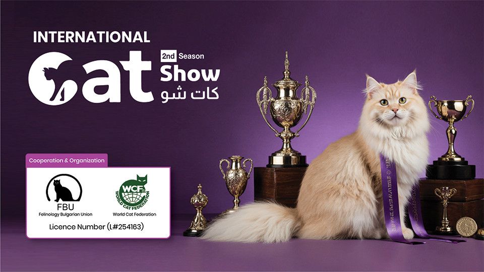 Cat Show in Riyadh, 26 November | Event in Riyadh | AllEvents