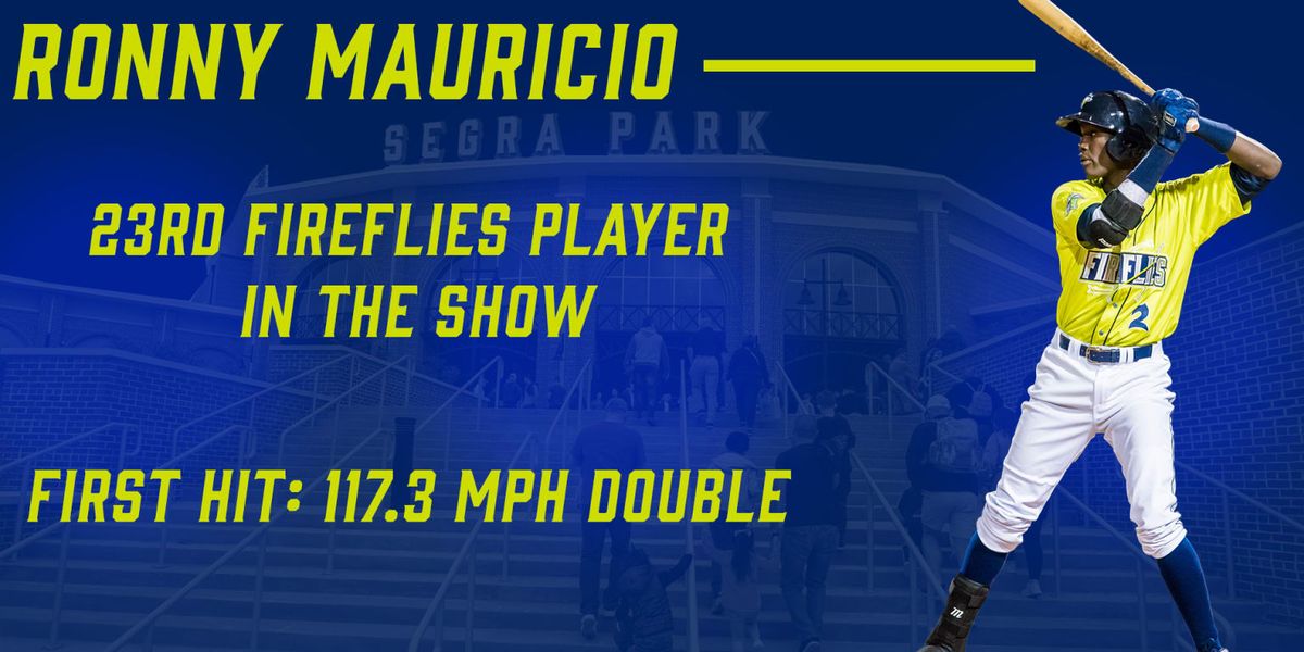 Parking Columbia Fireflies at Myrtle Beach Pelicans, 28 April | Event in Myrtle Beach | AllEvents