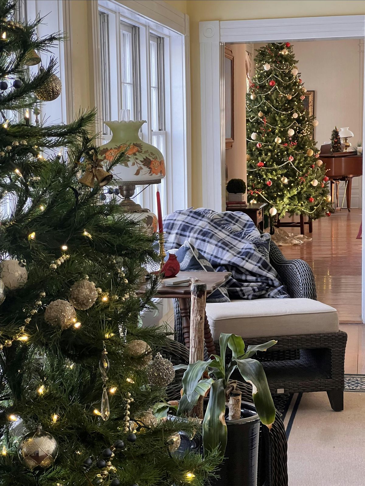 Holiday Social with Tea 3pm, 13 December | Event in Paris | AllEvents