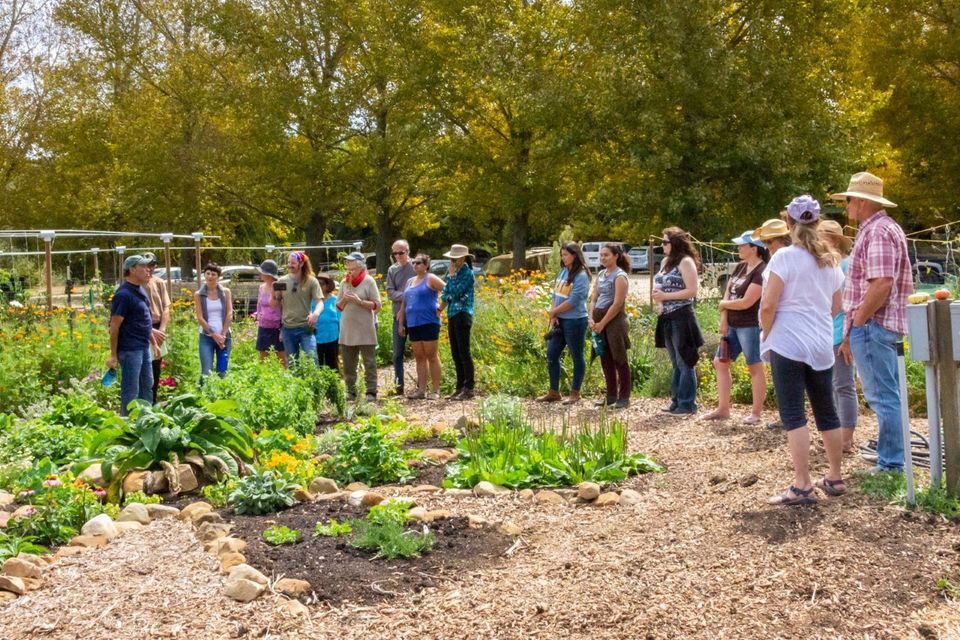 Sunburst’s Spring Garden Tour, Sunburst Community, Lompoc, 13 May 2023 ...