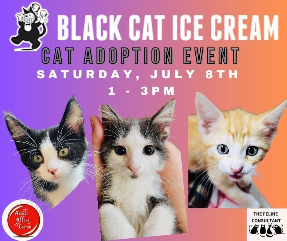 Black Cat Ice Cream Adoption Event, Black Cat Ice Cream, Des Moines