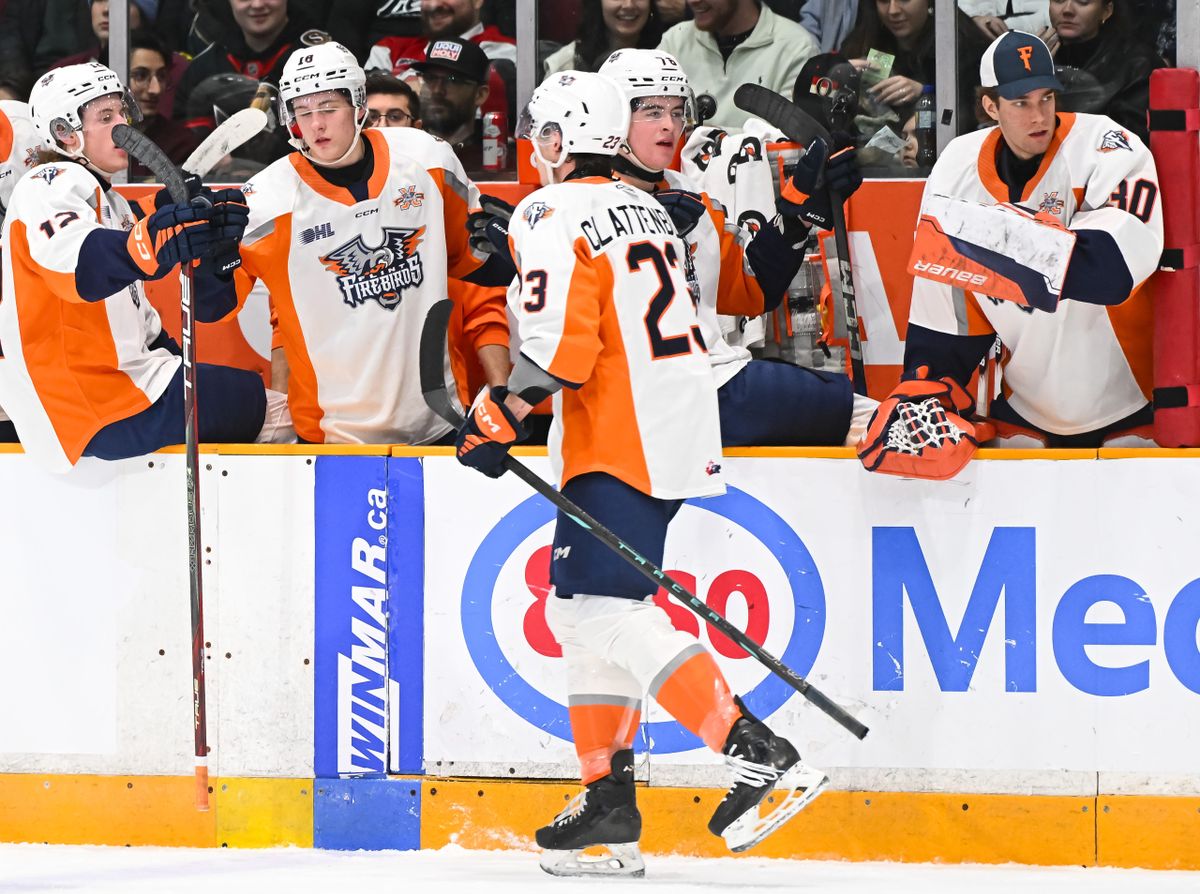 Ottawa 67s at Flint Firebirds at Dort Financial Center, 28 February | Event in Flint | AllEvents