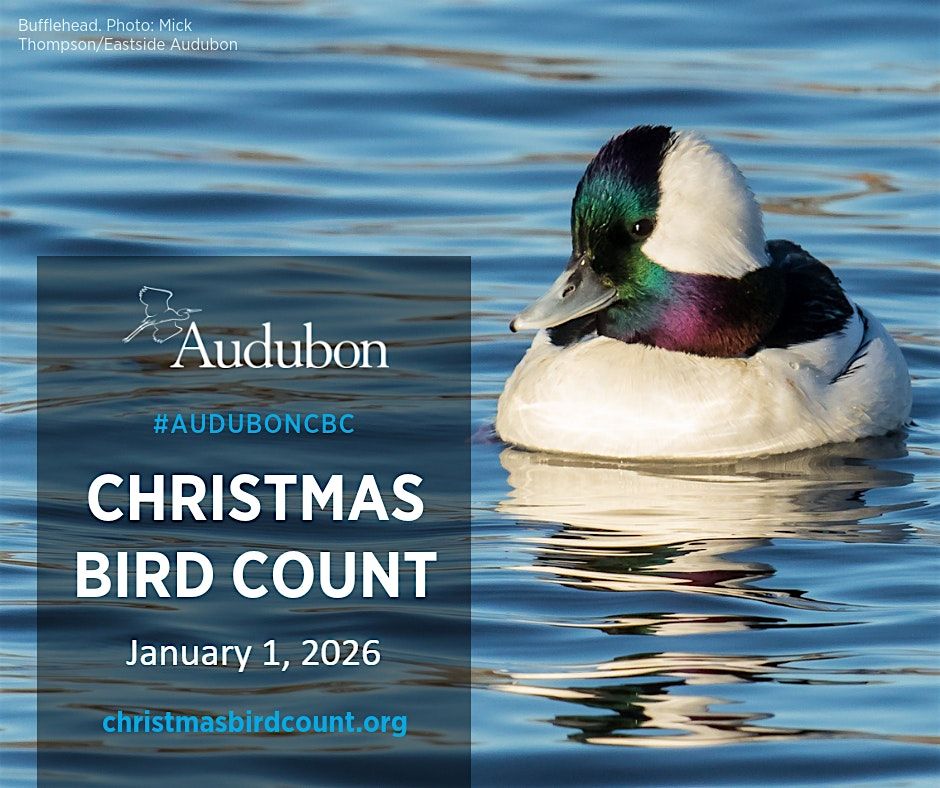 Christmas Bird Count, 1 January | Event in Cedar Hill | AllEvents