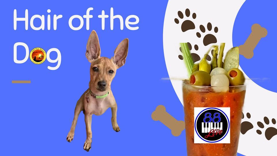 Hair Of The Dog Bring In The Fosters And Bloody Mary Extravaganza hair-of-the-dog-bring-in-the-fosters-and-bloody-mary-extravaganza