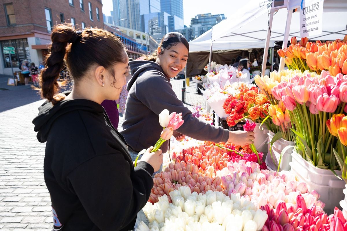 New Haven Ward Relief Society Activity, 20 November | Event in New Haven | AllEvents