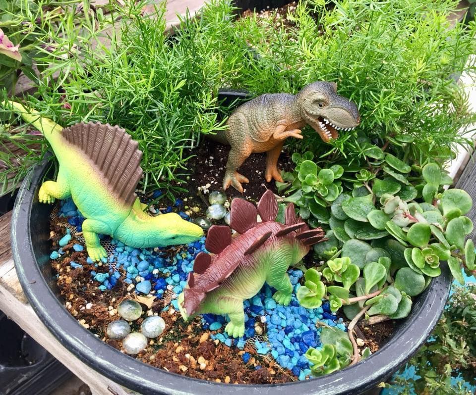 SOLD OUT!! Dinosaur Miniature Garden Project, Judi's Bloomers, LLC