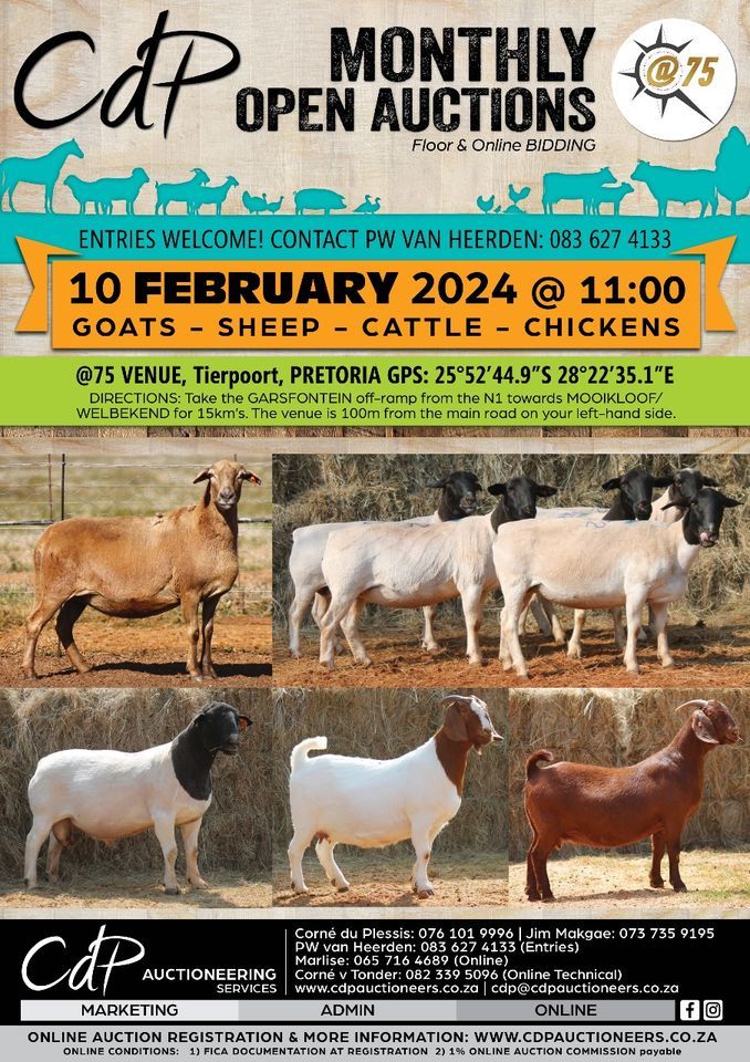 Cdp Monthly Open Commercial Auction 75 Tierpoort Pretoria 10