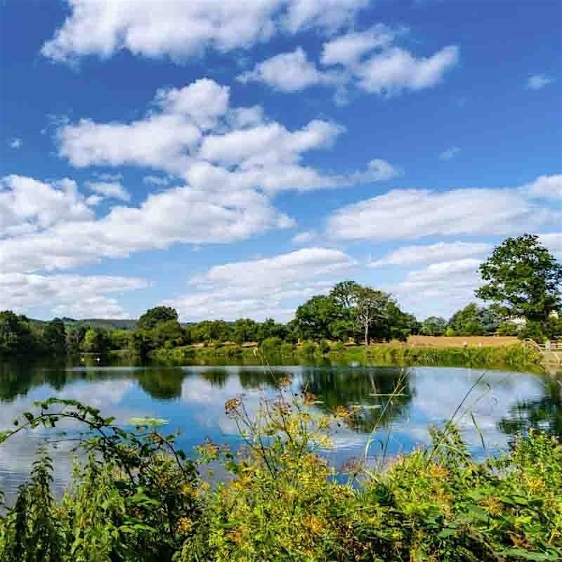 Chingford Circular Short Walk - Monday 19 Jan 2026