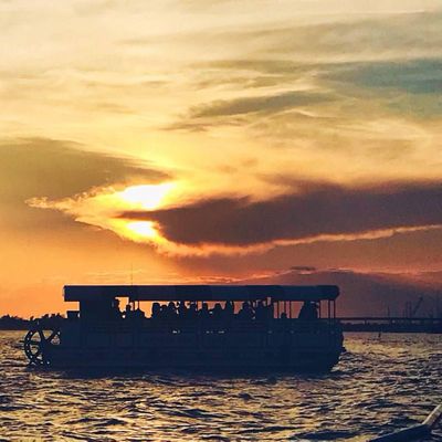 Harbor Bar  Boat Tours logo