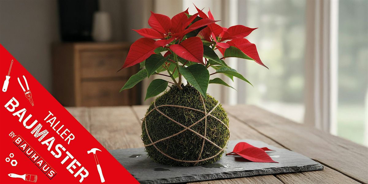 #BAUMASTER Leganés | Crea una Kokedama Navideña | Event in Leganés | AllEvents