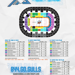 San Diego Gulls at Rockford Icehogs at BMO Center