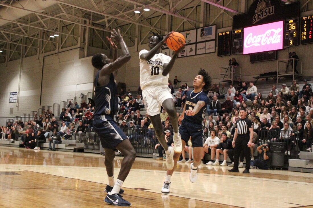 Southwest Minnesota State Mustangs vs. Augustana Vikings, 24 October | Event in Marshall | AllEvents