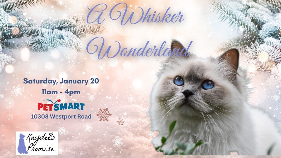 A Whisker Wonderland, PetSmart (Louisville, KY), Anchorage, January 20 2024 AllEvents.in