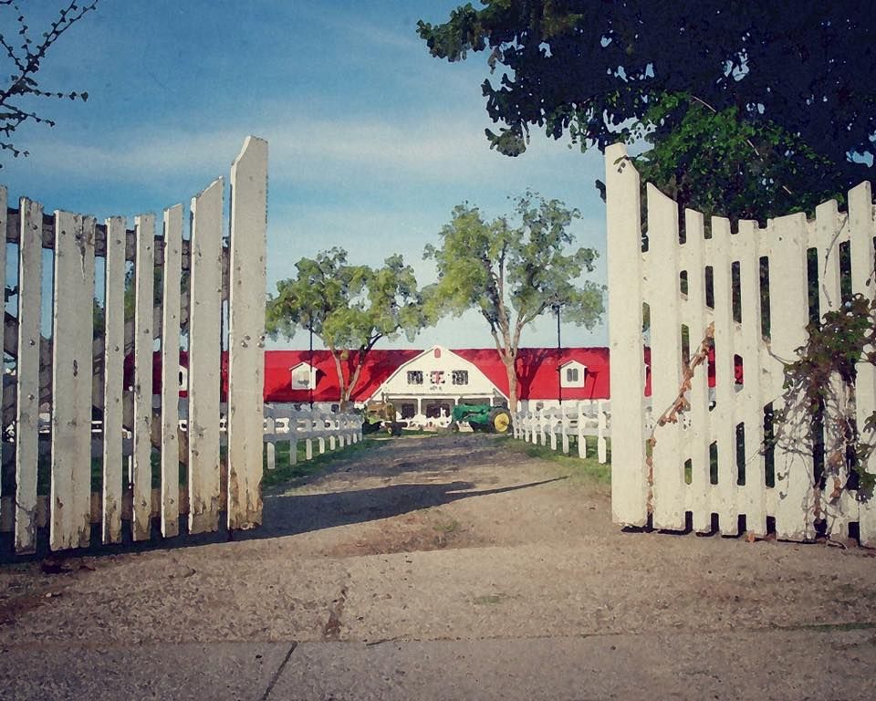 Annual Christmas Party Saltaire Farm Equestrian Center Layton annual-christmas-party-saltaire-farm-equestrian-center-layton