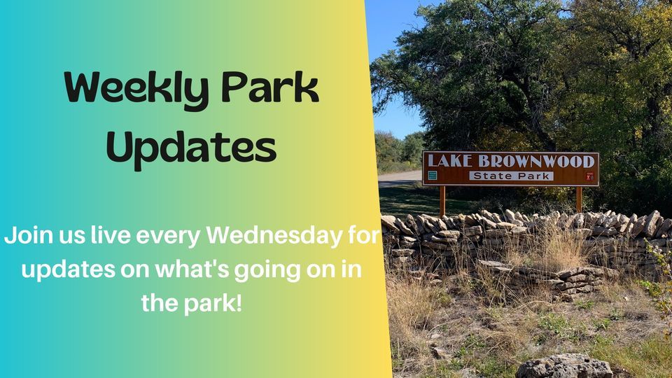Park Updates 1/10/24, Online event, Lake Brownwood, Texas, January 10 2024 AllEvents.in