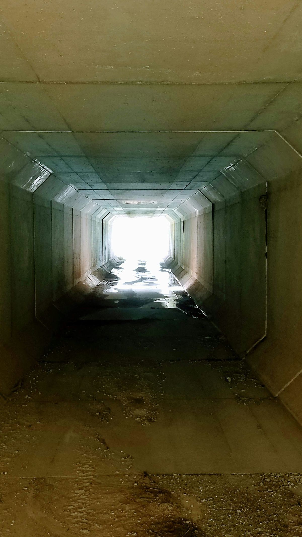 Fall into Spring on the BT:SCIOTO SUNDAY!: HIKE #2b (Pt10+-14)(5.0 miles), 25 January | Event in Chillicothe