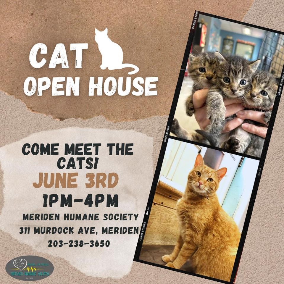 Cat Open House, 311 Murdock Ave, Meriden, CT 064508310, United States