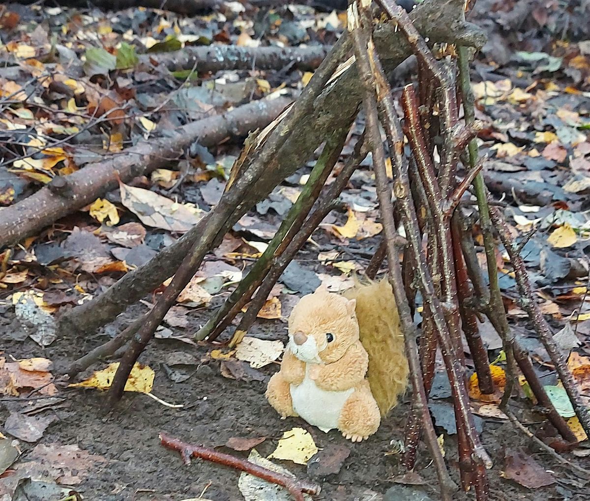 Teddy bear dens and popcorn at Hartshill Hayes Country Park, 19 February | Event in Nuneaton | AllEvents