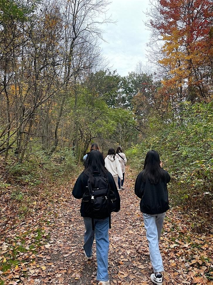 Walk in Nature  - Ravine Rd or Campus Nature, 27 November | Event in Hamilton | AllEvents