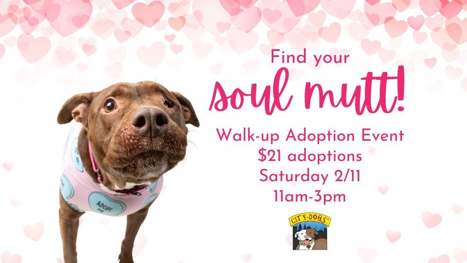 Find Your Soul Mutt Adoption Event, City Dogs Cleveland, February 11