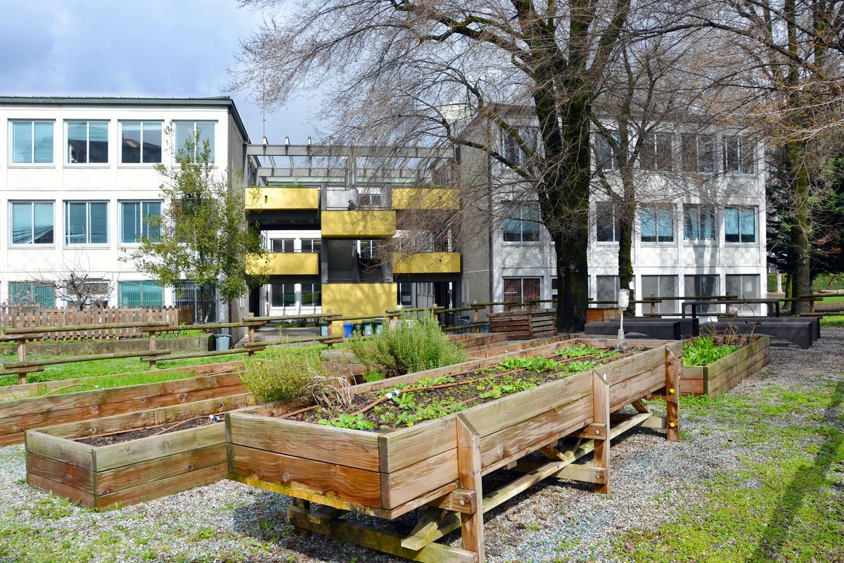 OPEN DAY SCUOLA PRIMARIA MARTINENGO 1 DICEMBRE 2025, 1 December | Event in Milano | AllEvents