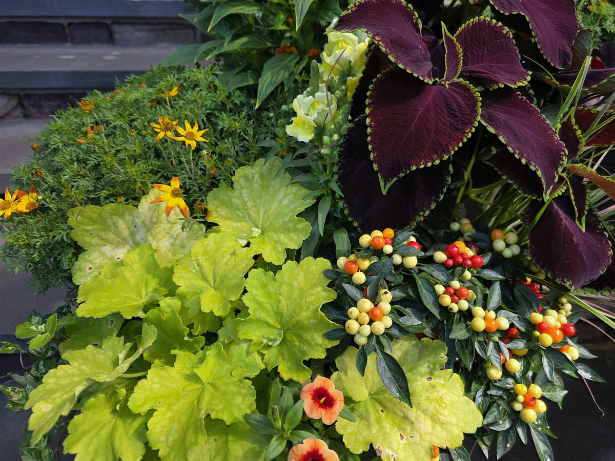 Creative Window Boxes, 6 June | Event in Richboro | AllEvents