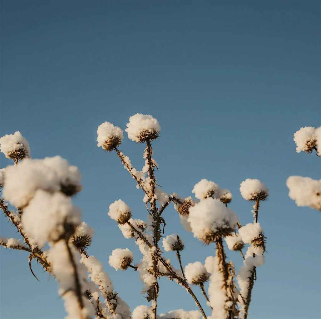Winter Solstice Meditation Day Retreat, 14 December | Event in Half Moon Bay | AllEvents