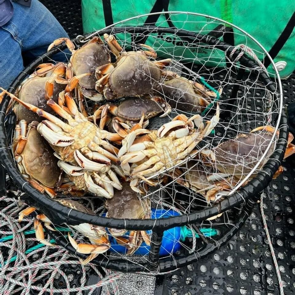 Garibaldi Docks & Boat Basin Cleanup, Port of Garibaldi, 17 March 2024