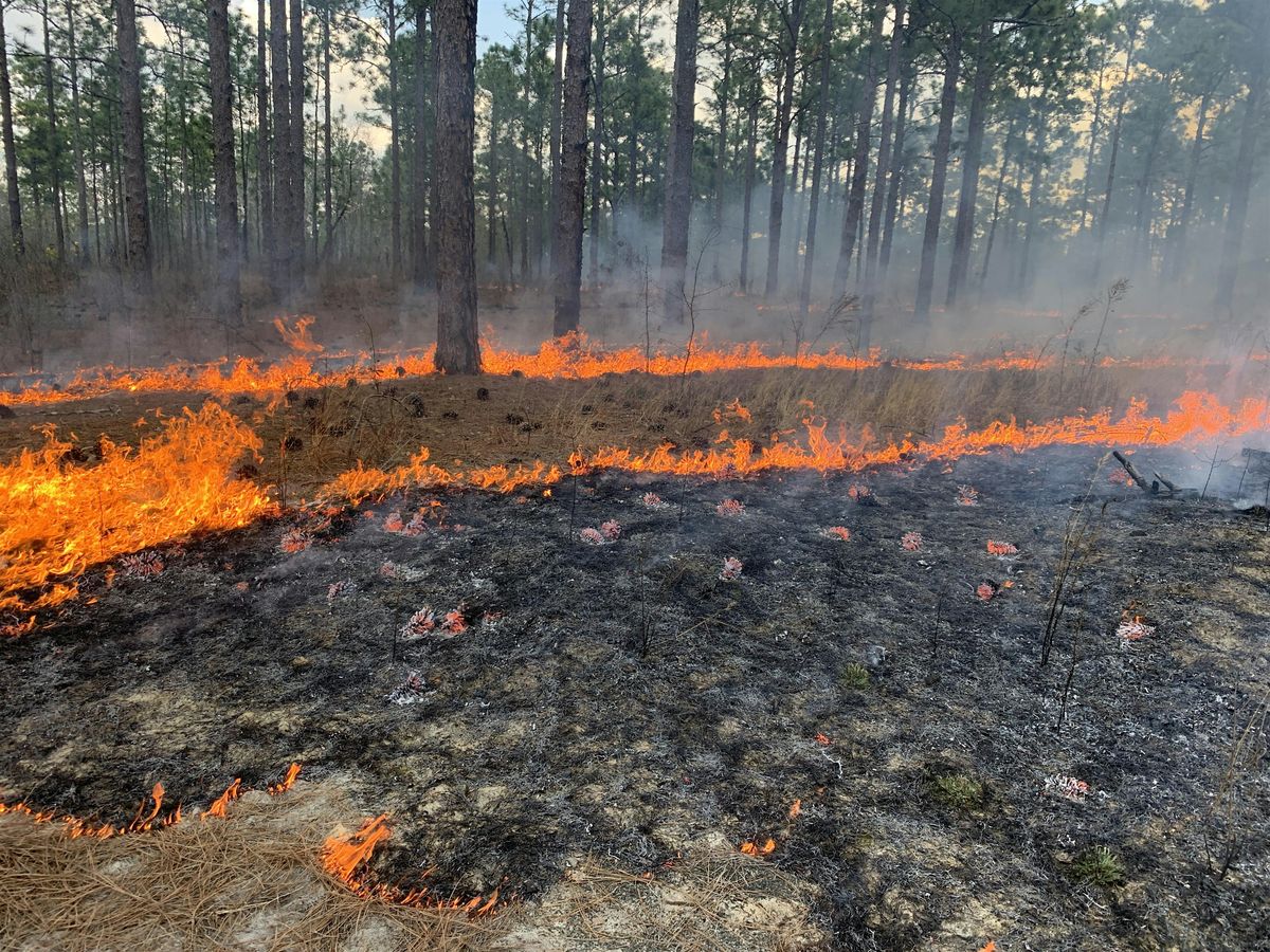Prescribed Burn Planning Workshop, 17 December | Event in Aiken | AllEvents