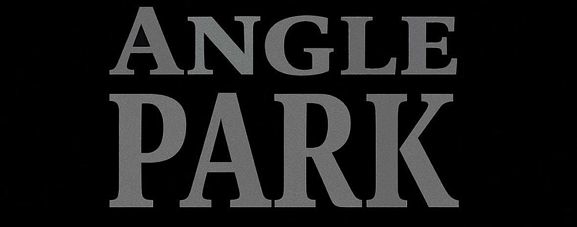 Angle Park - a tribute to Big Country - Live @ The Bot!, 20 March | Event in Belfast | AllEvents