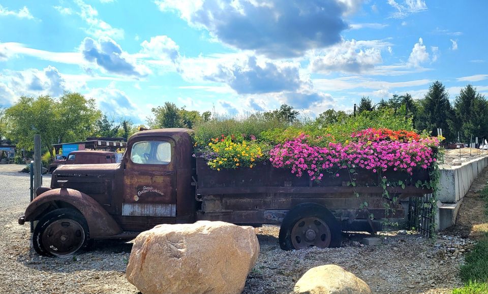 Autumn Fest at Caseys, Casey's Outdoor Solutions Garden & Gifts, North