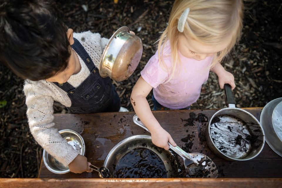 Nature Play - Wombat Stew, Ku-ring-gai Wildflower Garden, Sydney, 25 ...