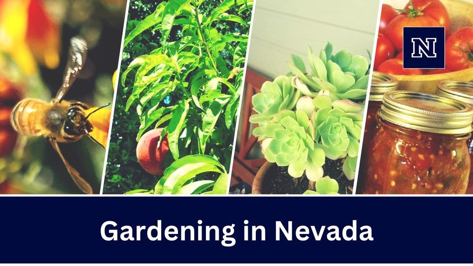 Gardening in Nevada A Master Gardener miniseries, Bartley Ranch
