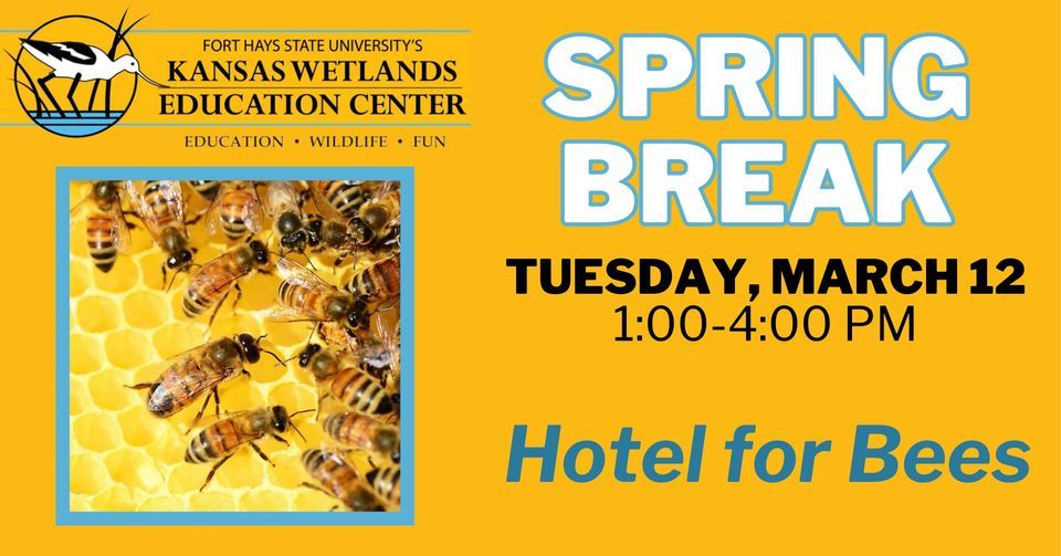 Hotel for Bees - KWEC Spring Break, Kansas Wetlands Education Center ...