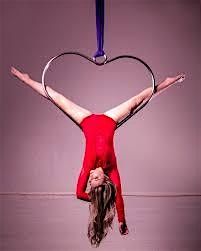 Toybox Aerial Workshop, 23 November | Event in Queens | AllEvents
