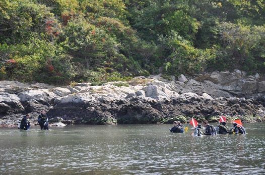 2019 Tropical Fish Rescue At Fort Wetherill Jamestown allevents in