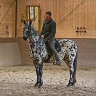 Quint Schneider - Academic Art of Riding