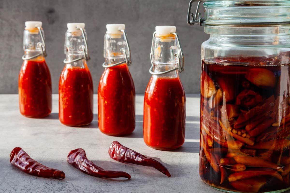 Red Not Chili Peppers and Fooz Fighters, 14 August | Event in Glen Allen | AllEvents