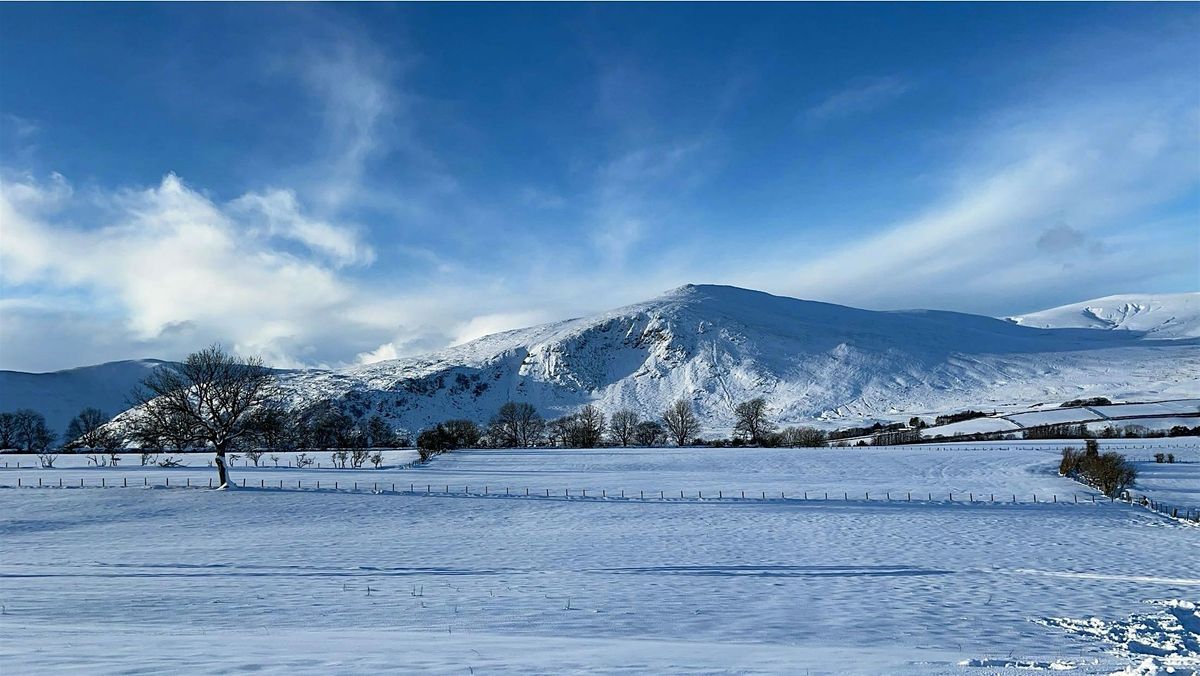 Farm Business Resilience
