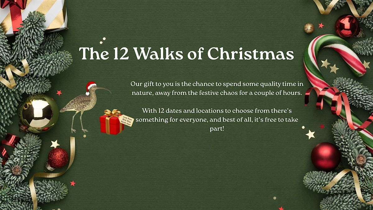 Beginners Birdwatching Walk - Riverside Country Park, 31 December | Event in Rainham | AllEvents