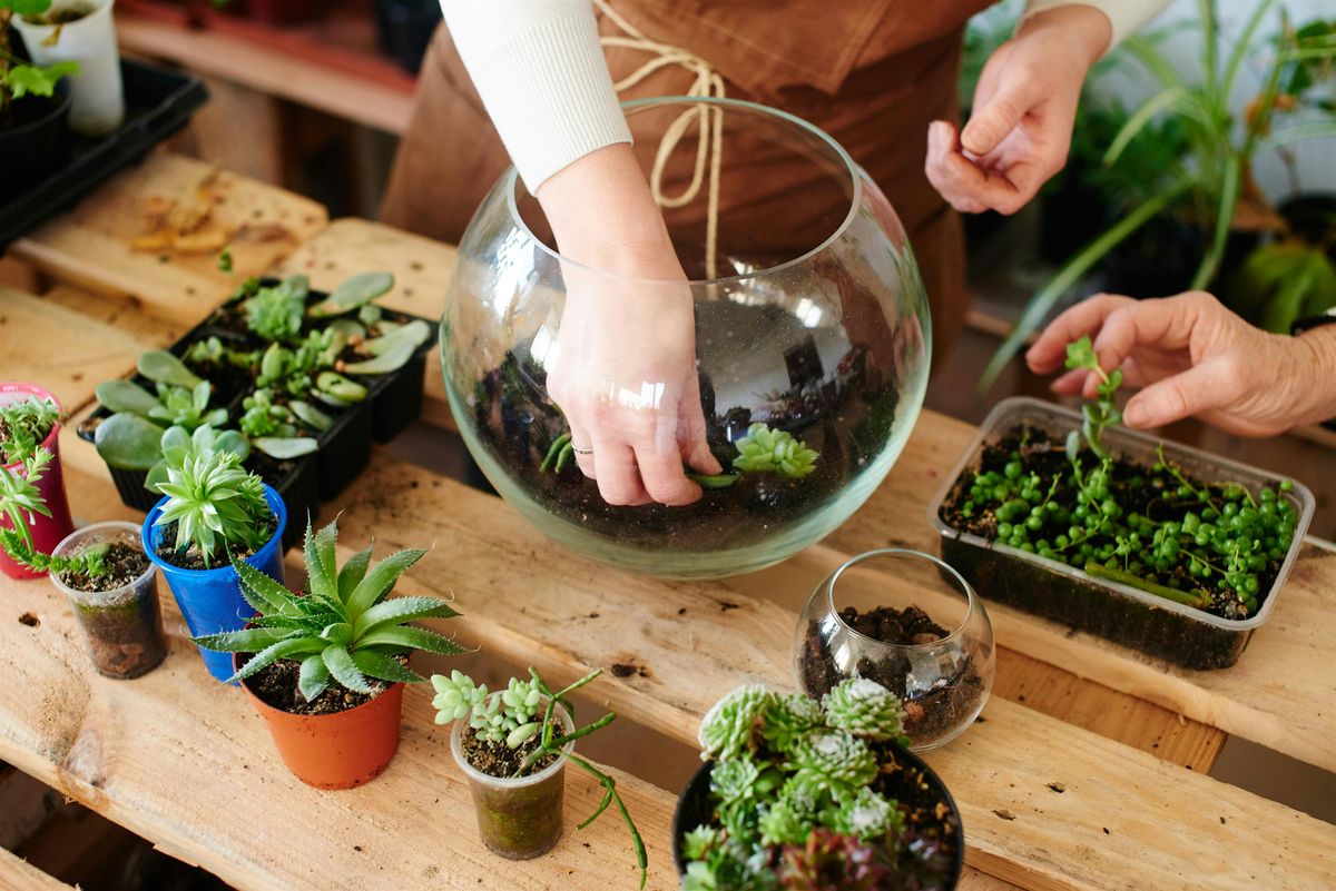 Terrarium Workshop @ Bunk, 17 December | Event in Utrecht | AllEvents
