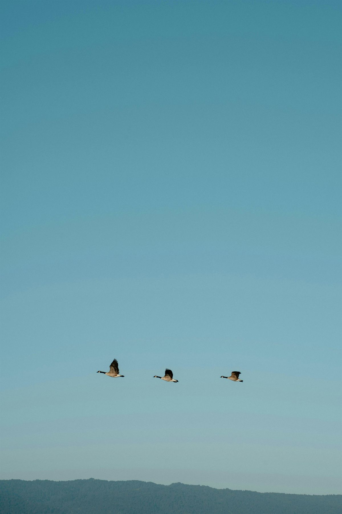 Stand By Me Training, 11 December | Event in Bulwell | AllEvents